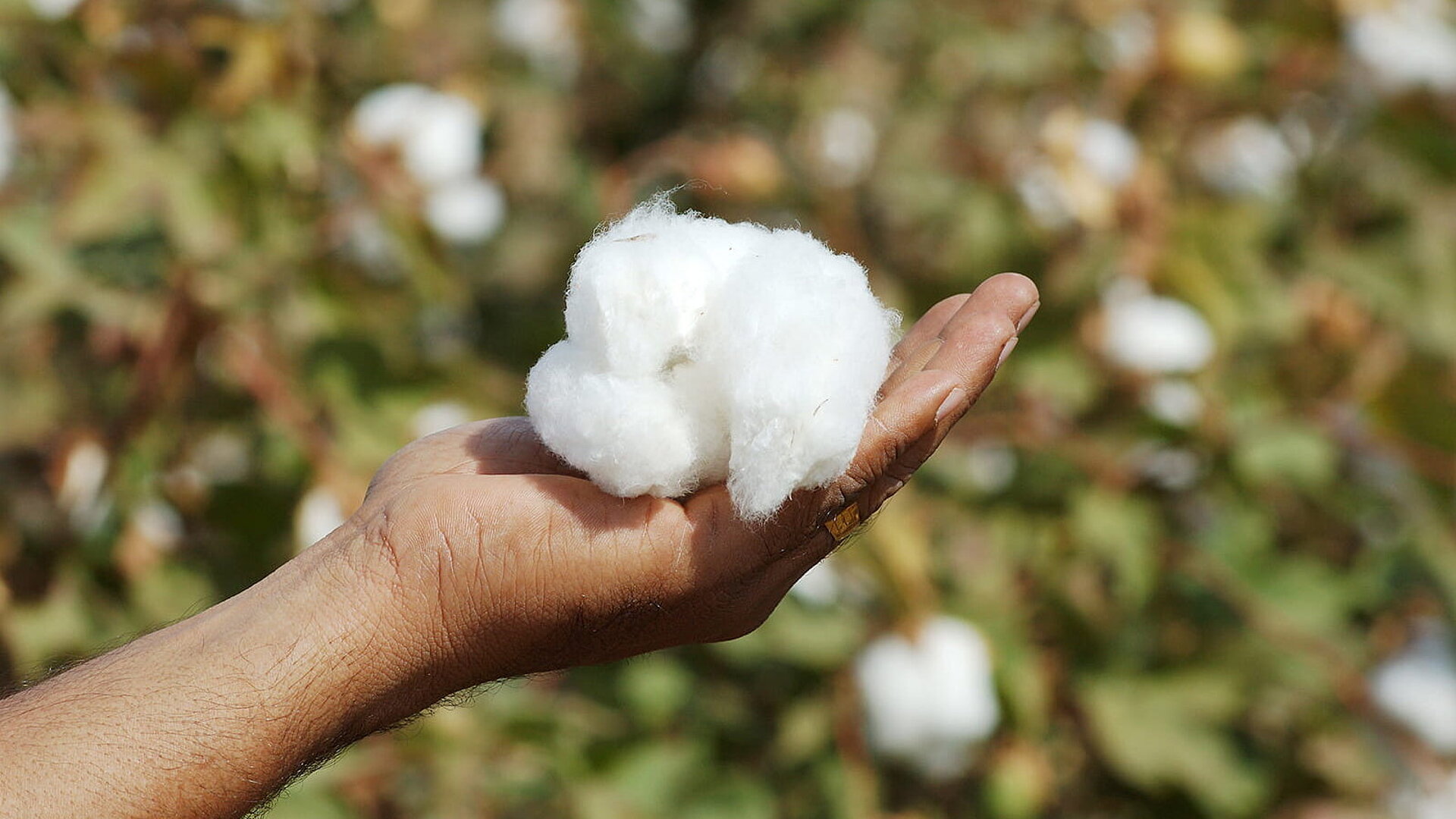 [Translate to German:] 